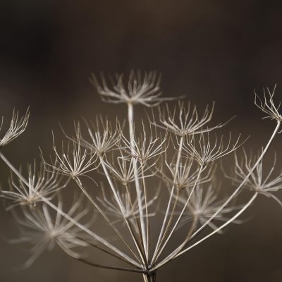 飘花影视内容运营小舟在深夜的暖灯下回复用户反馈邮件，屏幕上开着收件箱与条目修改记录